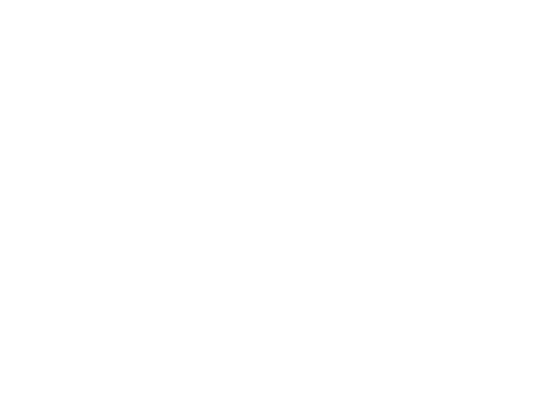 Site Logo (Light)