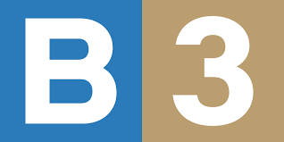 B3